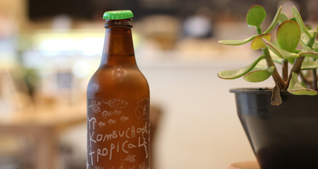 kombucha