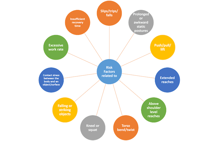 MSD Risk Factors