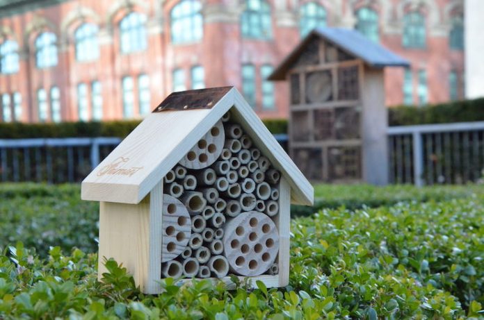 A bee hotel at Vancouver’s Fairmont Waterfront (Photo courtesy of Fairmont Hotels & Resorts)