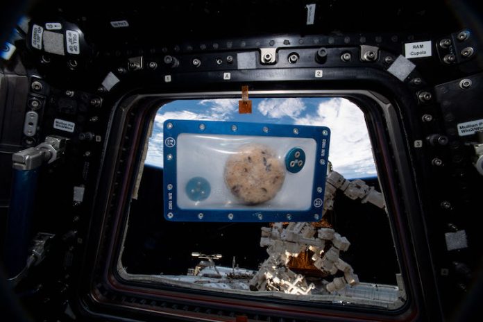 DoubleTree Cookie in Space