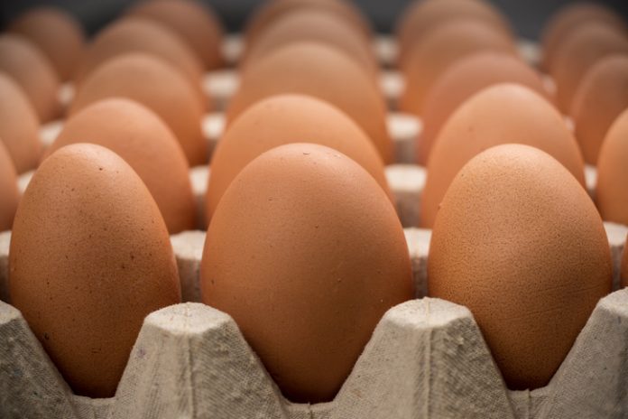 Cage-free eggs