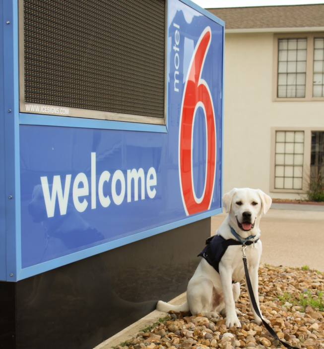 what motels take dogs